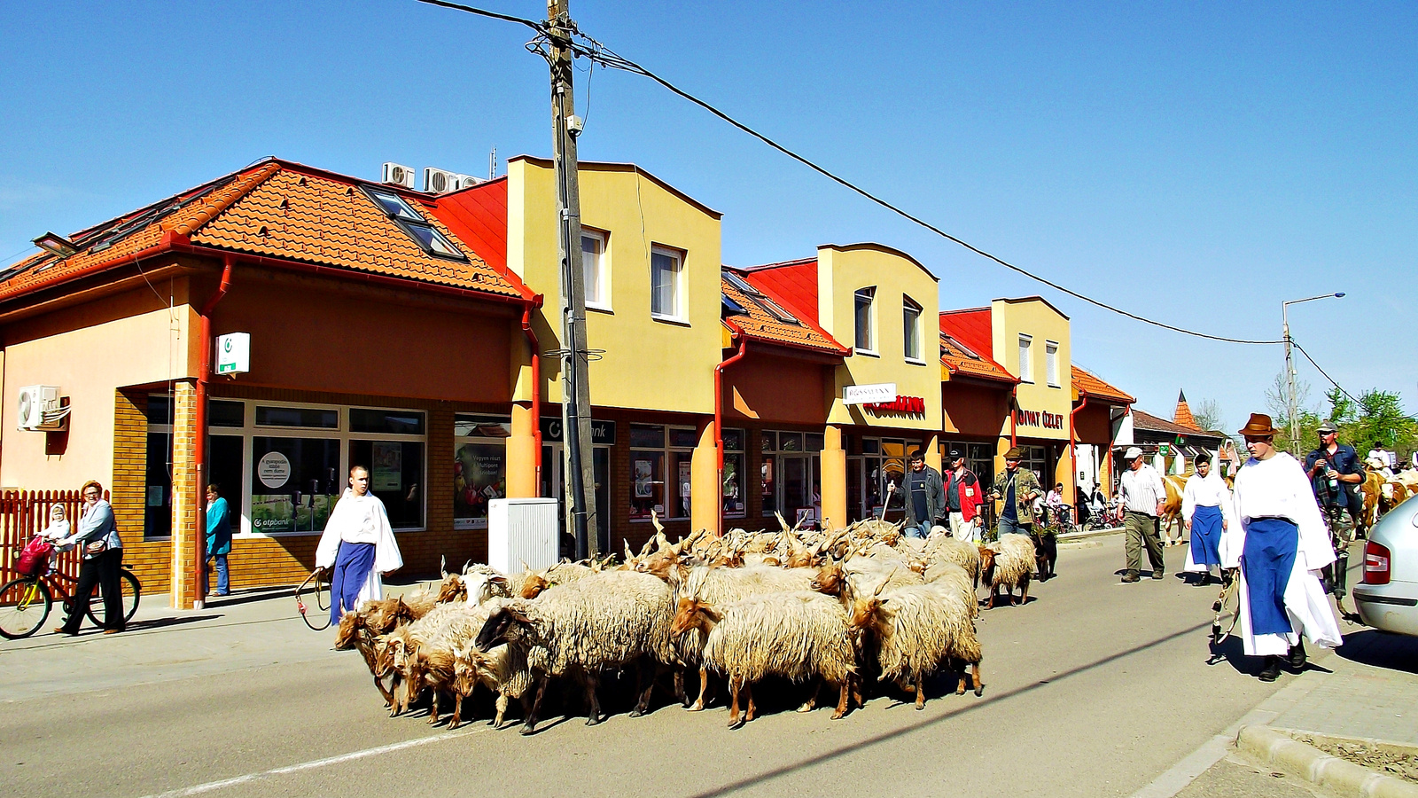 Szent György-napi Állatkihajtás Ünnepe 2012 - Túrkeve 68