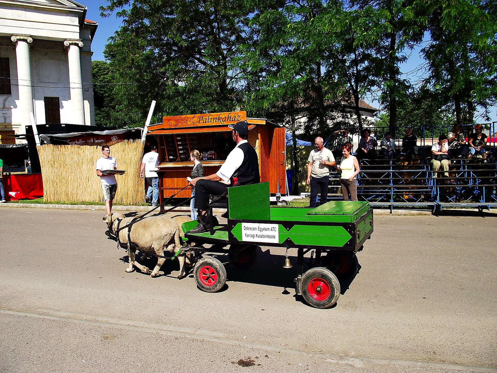 XIV. Kevi Juhászfesztivál 49