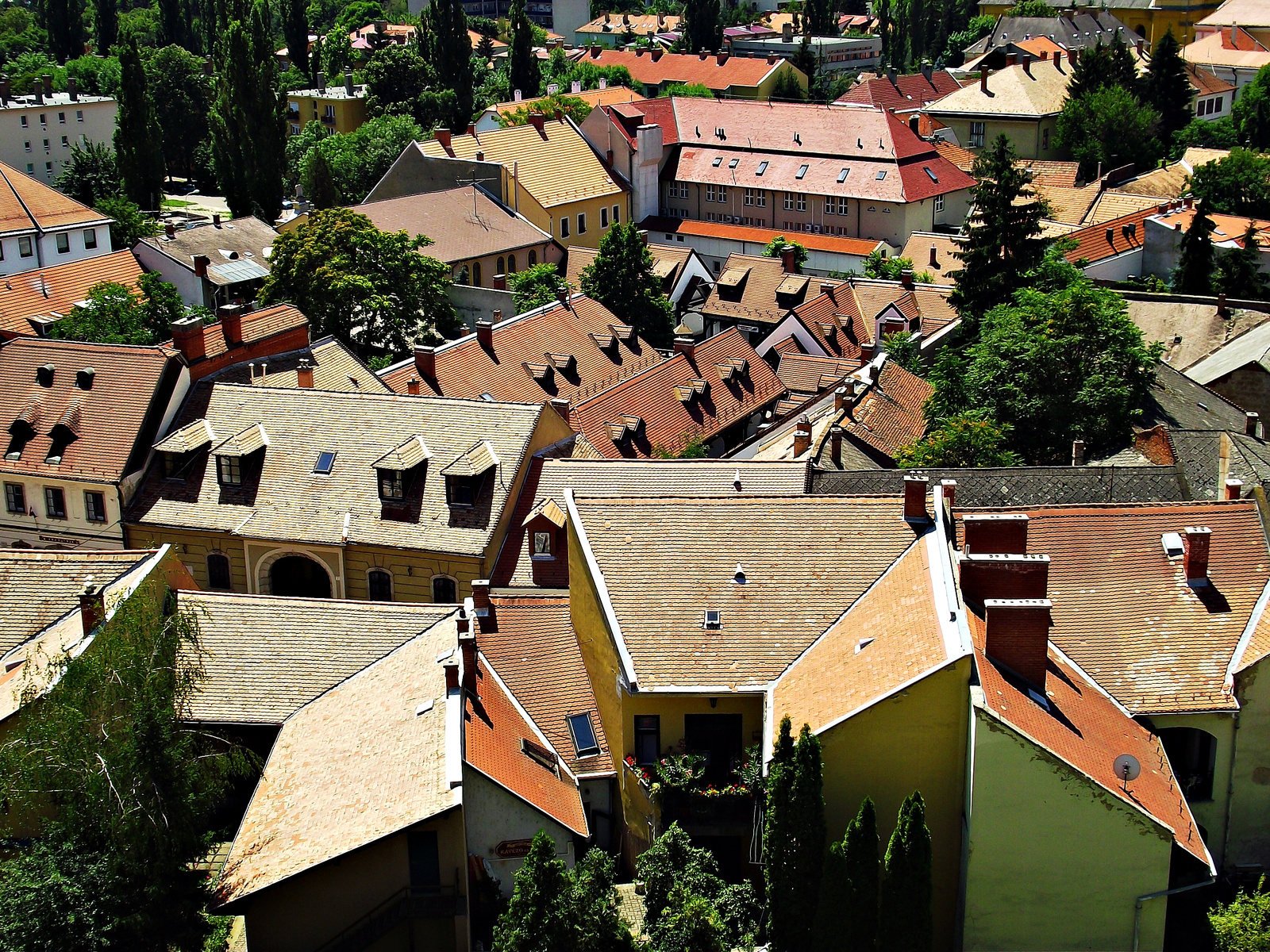 Eger látképe a várból 49