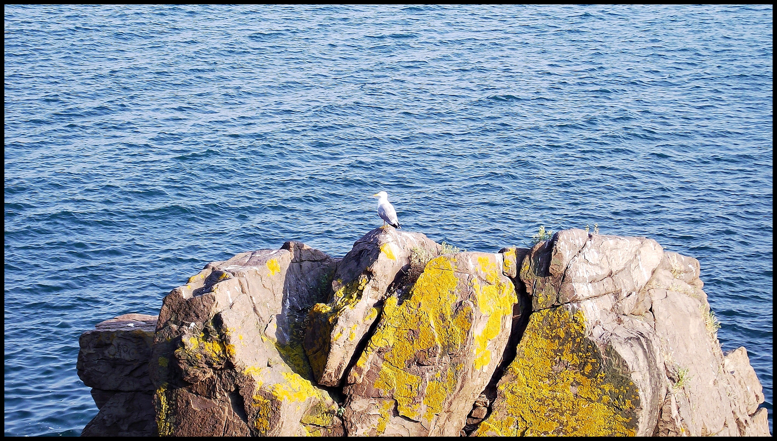 Sozopol - Созопол 2012 1096