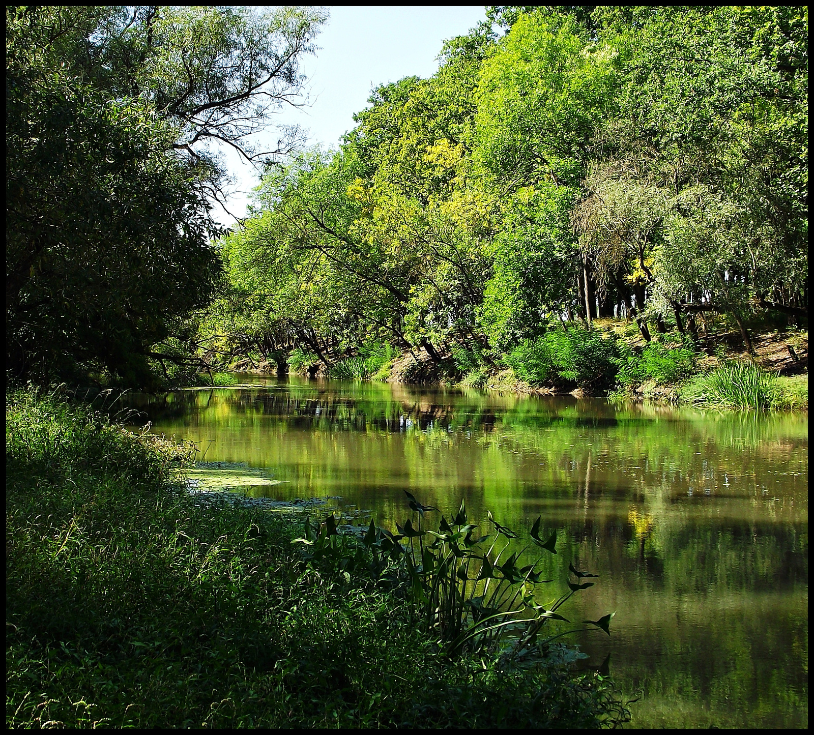 Hortobágy-Berettyó 2012 063