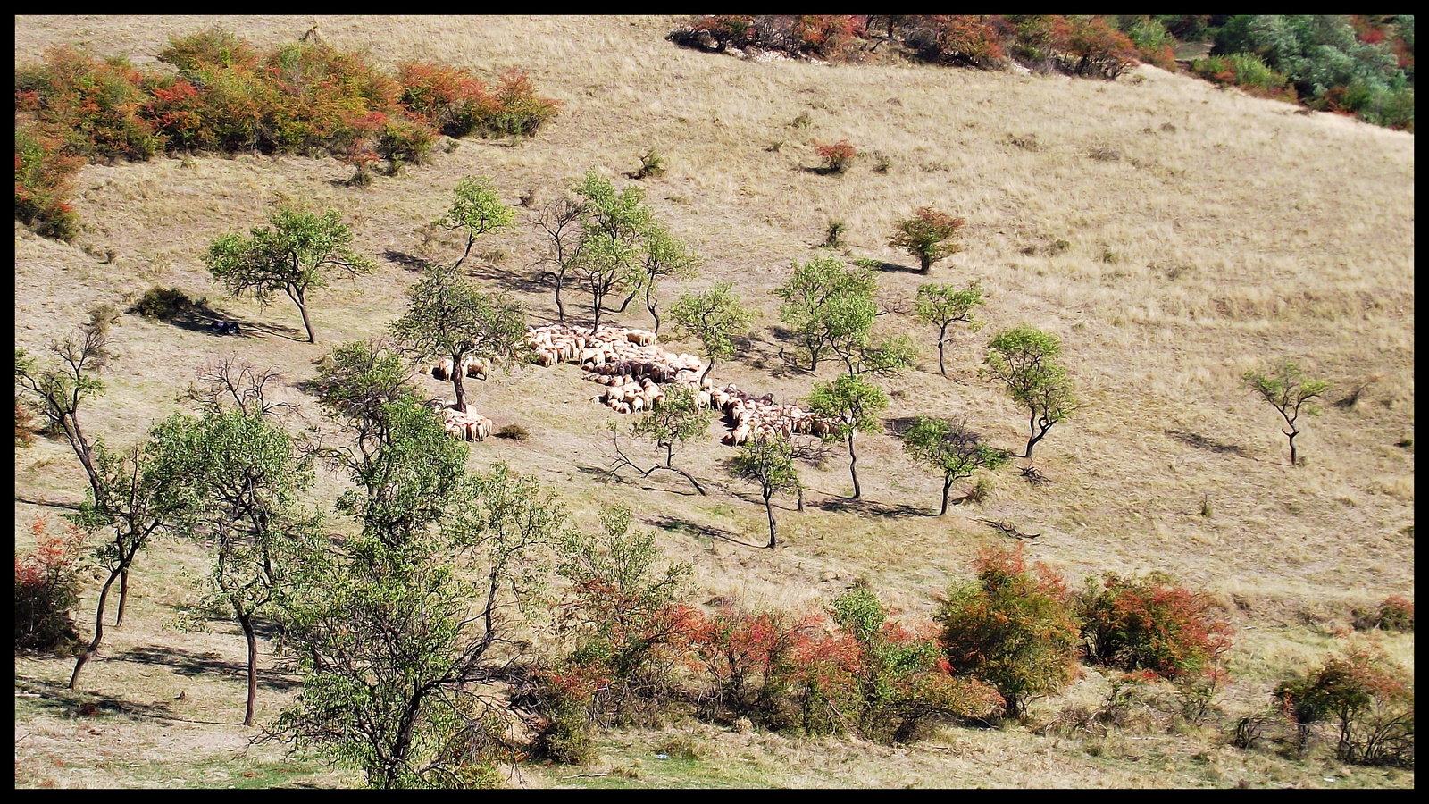 Világosi vár alatt 2012 006