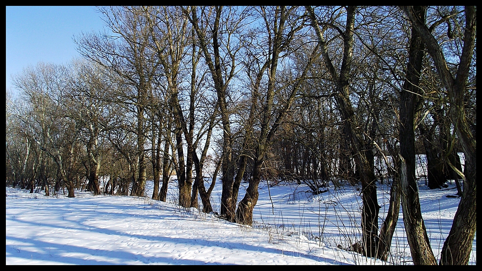 Hortobágy-Berettyó 078