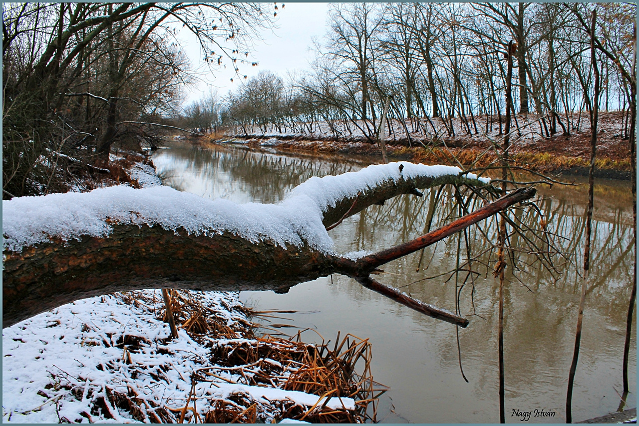 Hortobágy-Berettyó 033