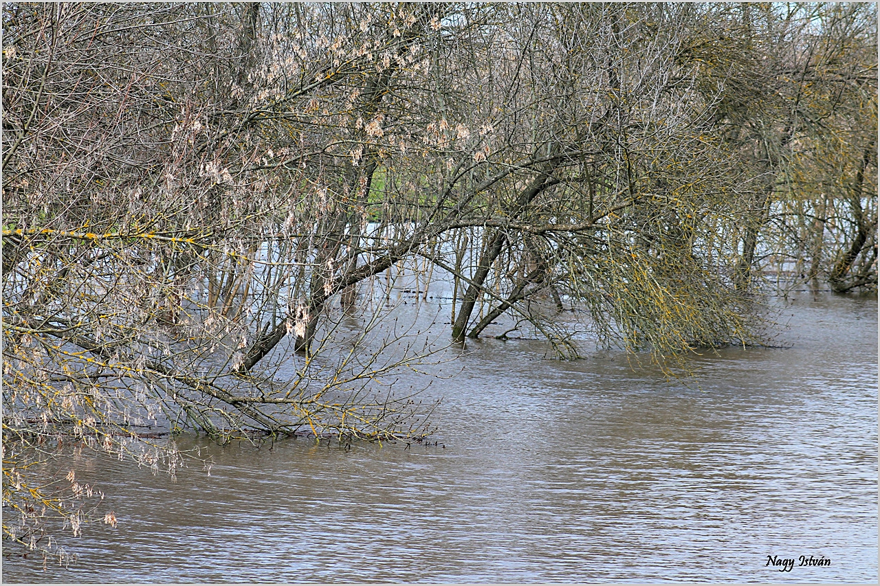 Árvíz 2013 - Hortobágy-Berettyó 093