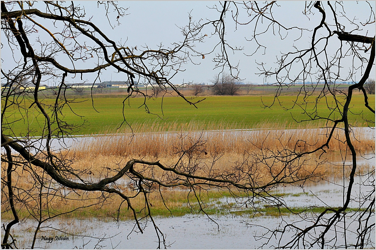 Árvíz 2013 - Hortobágy-Berettyó 077