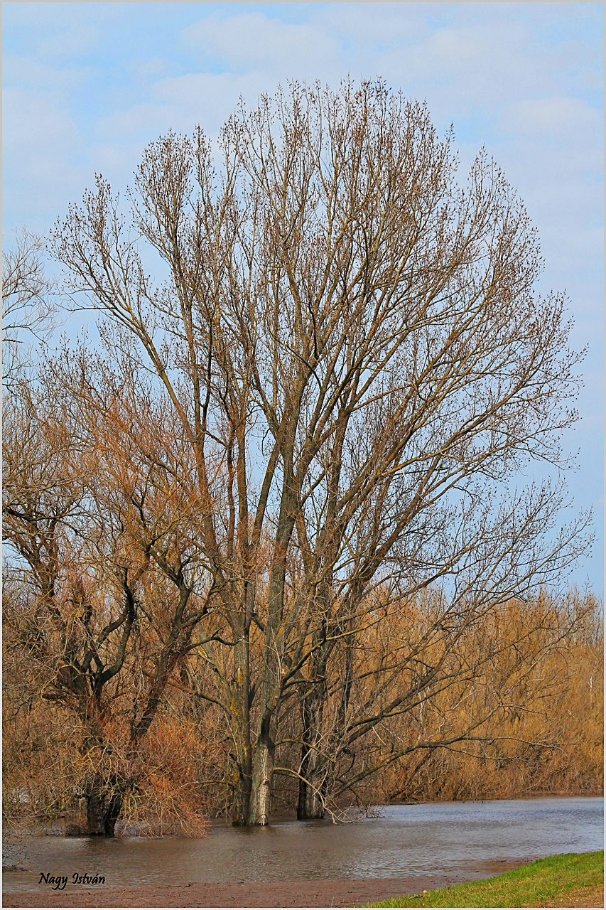 Árvíz 2013 - Hortobágy-Berettyó 080