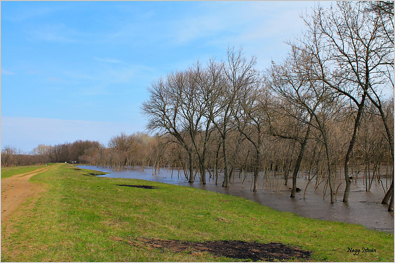 Árvíz 2013 - Hortobágy-Berettyó 017