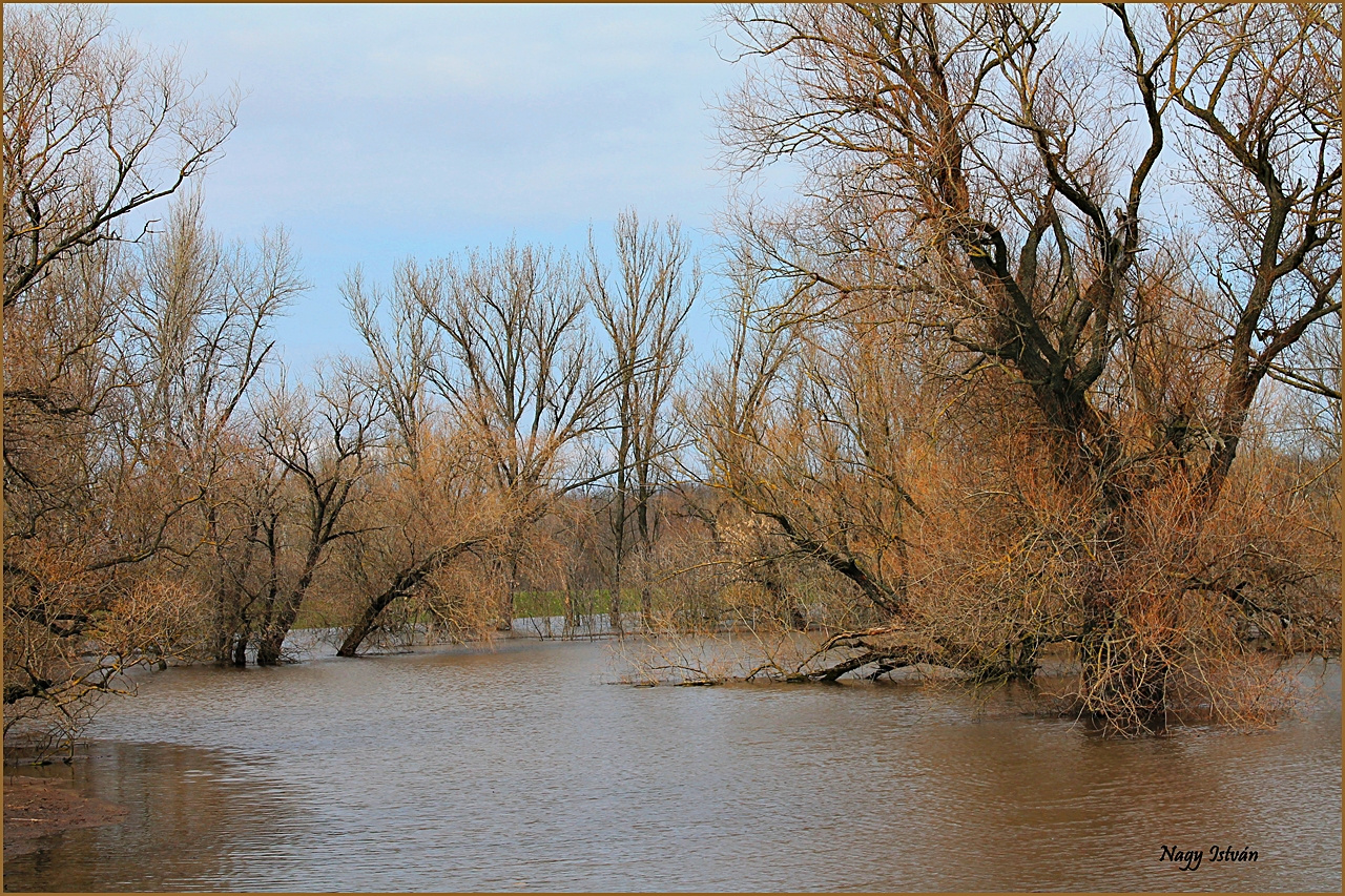 Árvíz 2013 - Hortobágy-Berettyó 066