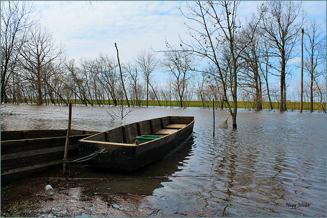 Árvíz 2013 - Hortobágy-Berettyó 021