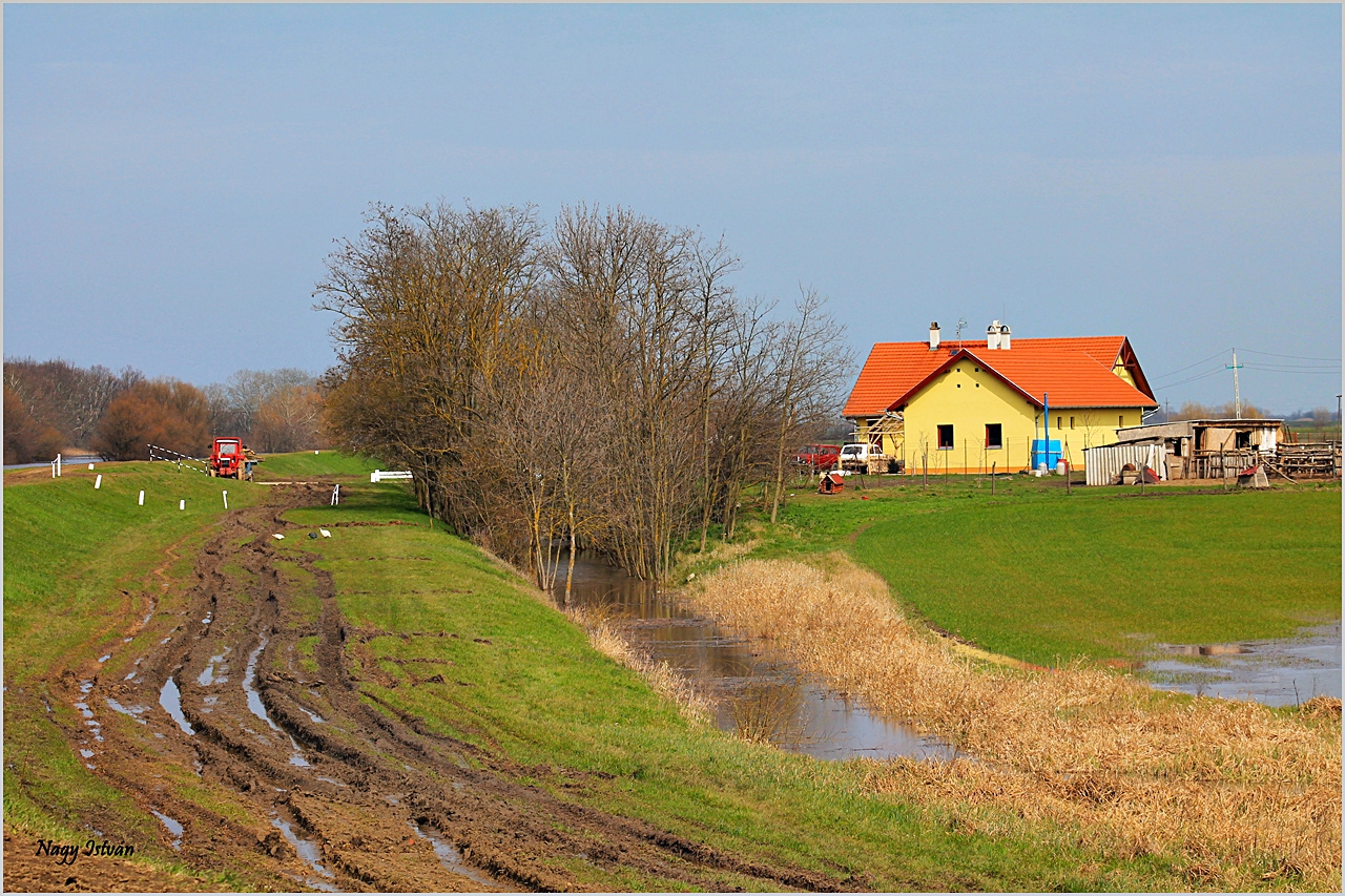 Árvíz 2013 - Hortobágy-Berettyó 072