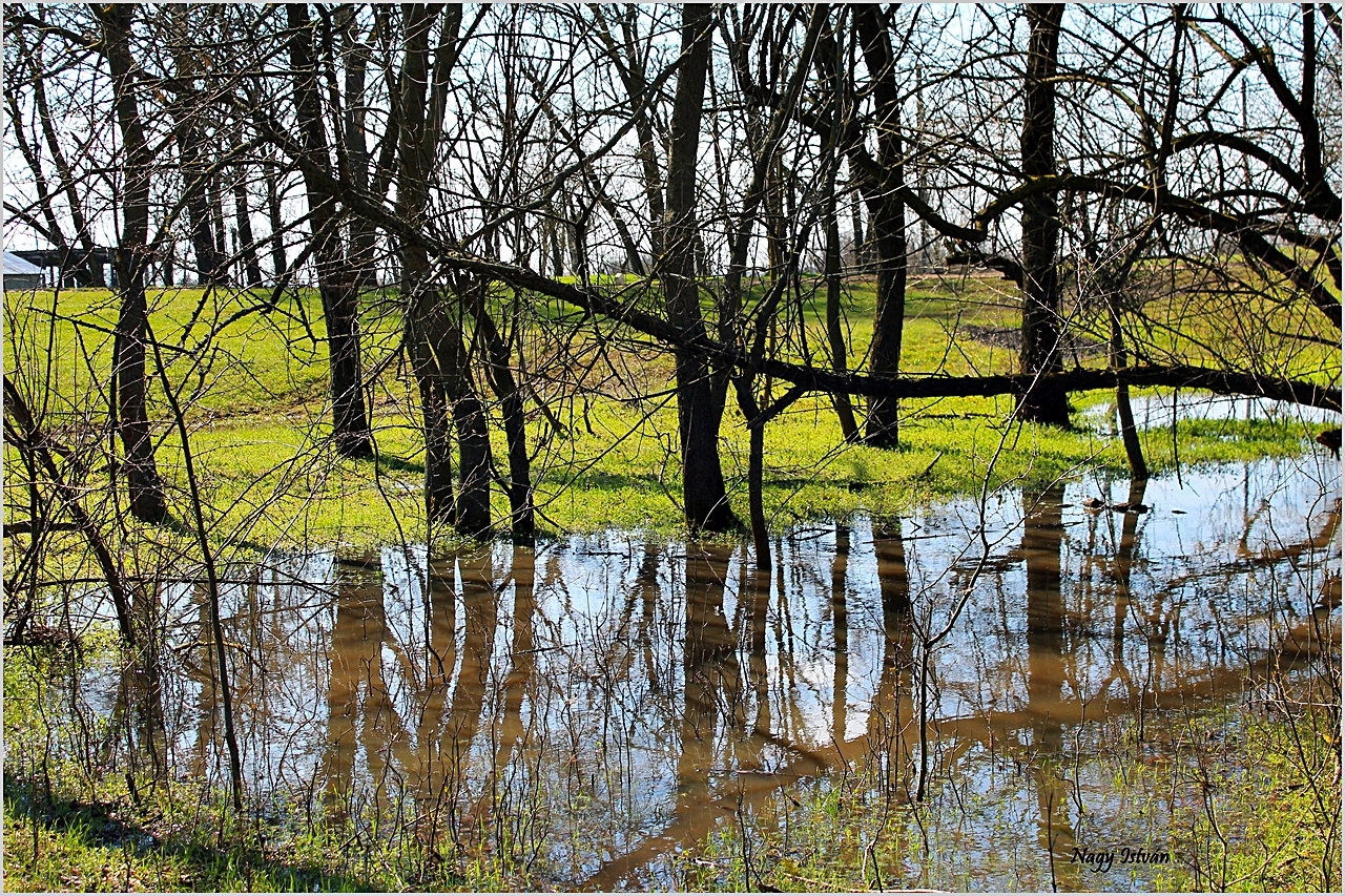 Árvíz 2013 - Hortobágy-Berettyó 061