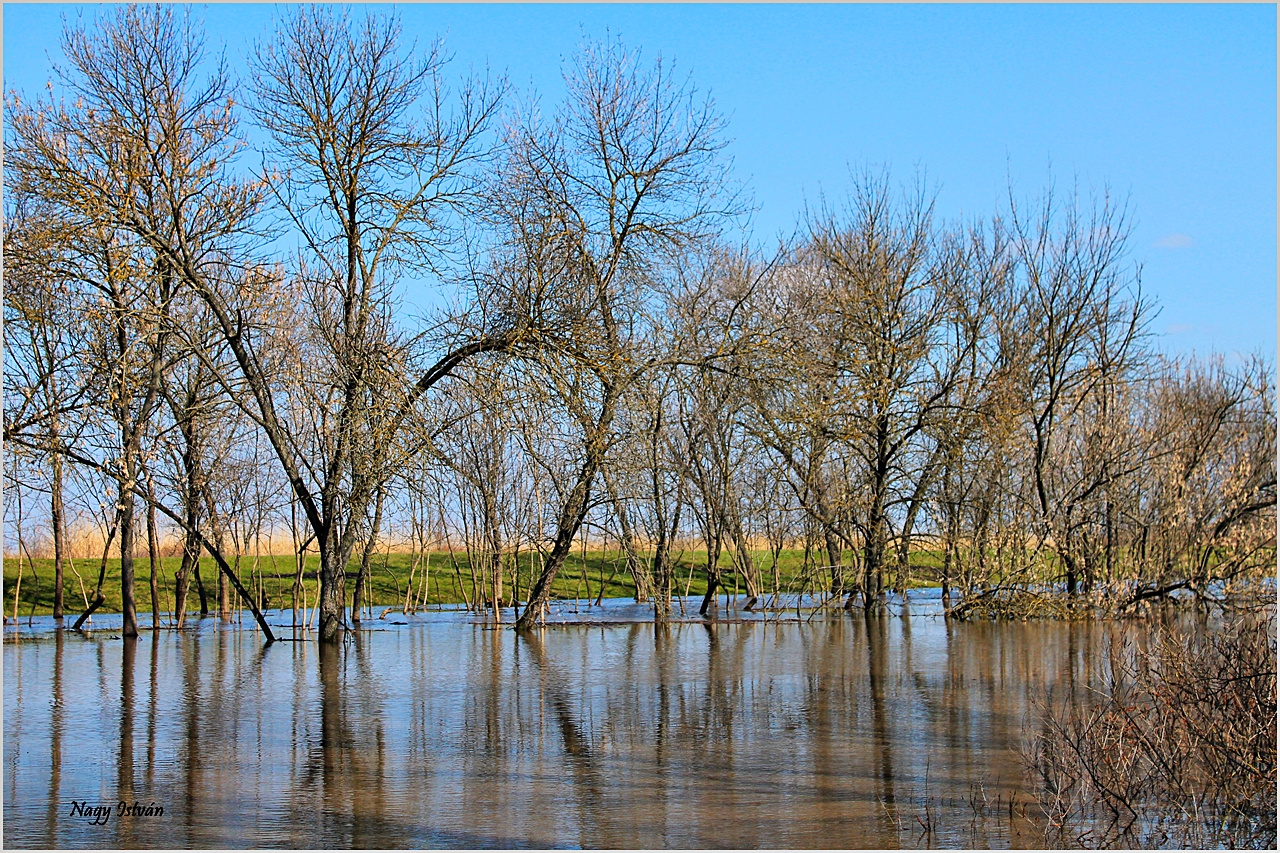 Árvíz 2013 - Hortobágy-Berettyó 060