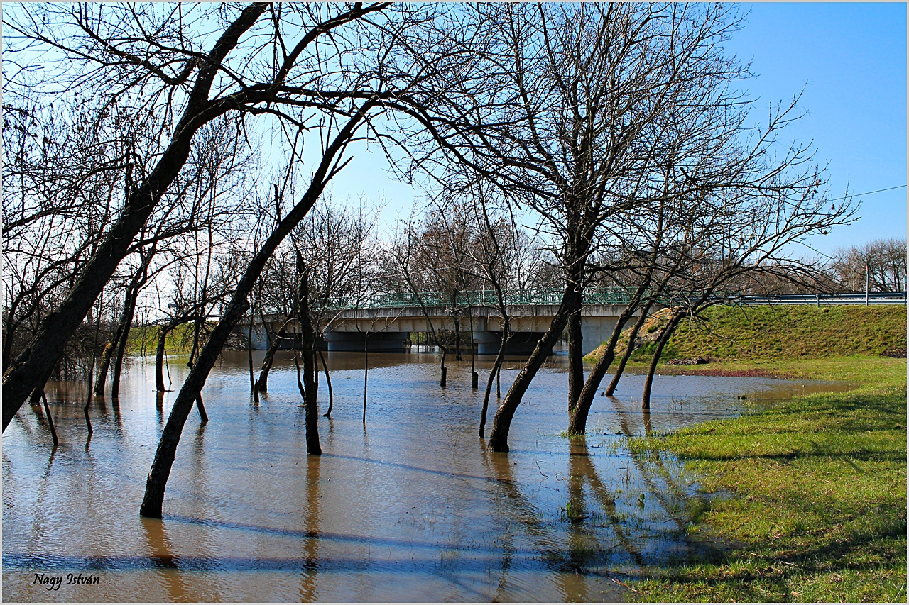 Árvíz 2013 - Hortobágy-Berettyó 019