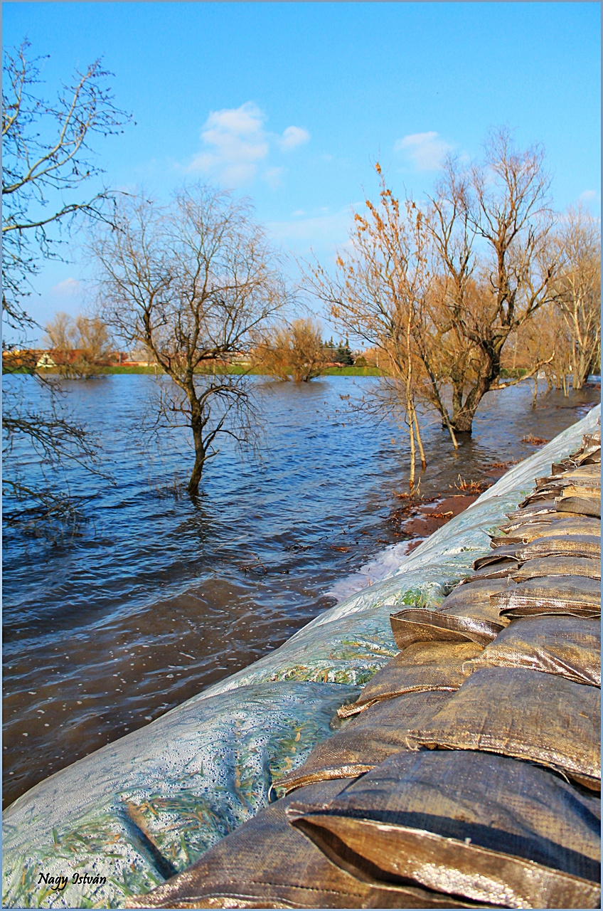 Árvíz 2013 - Hortobágy-Berettyó 014