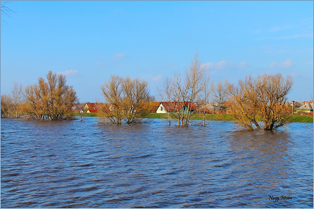 Árvíz 2013 - Hortobágy-Berettyó 019