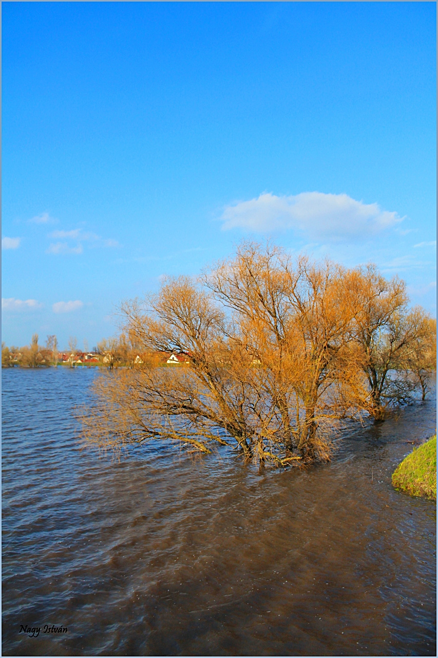 Árvíz 2013 - Hortobágy-Berettyó 003