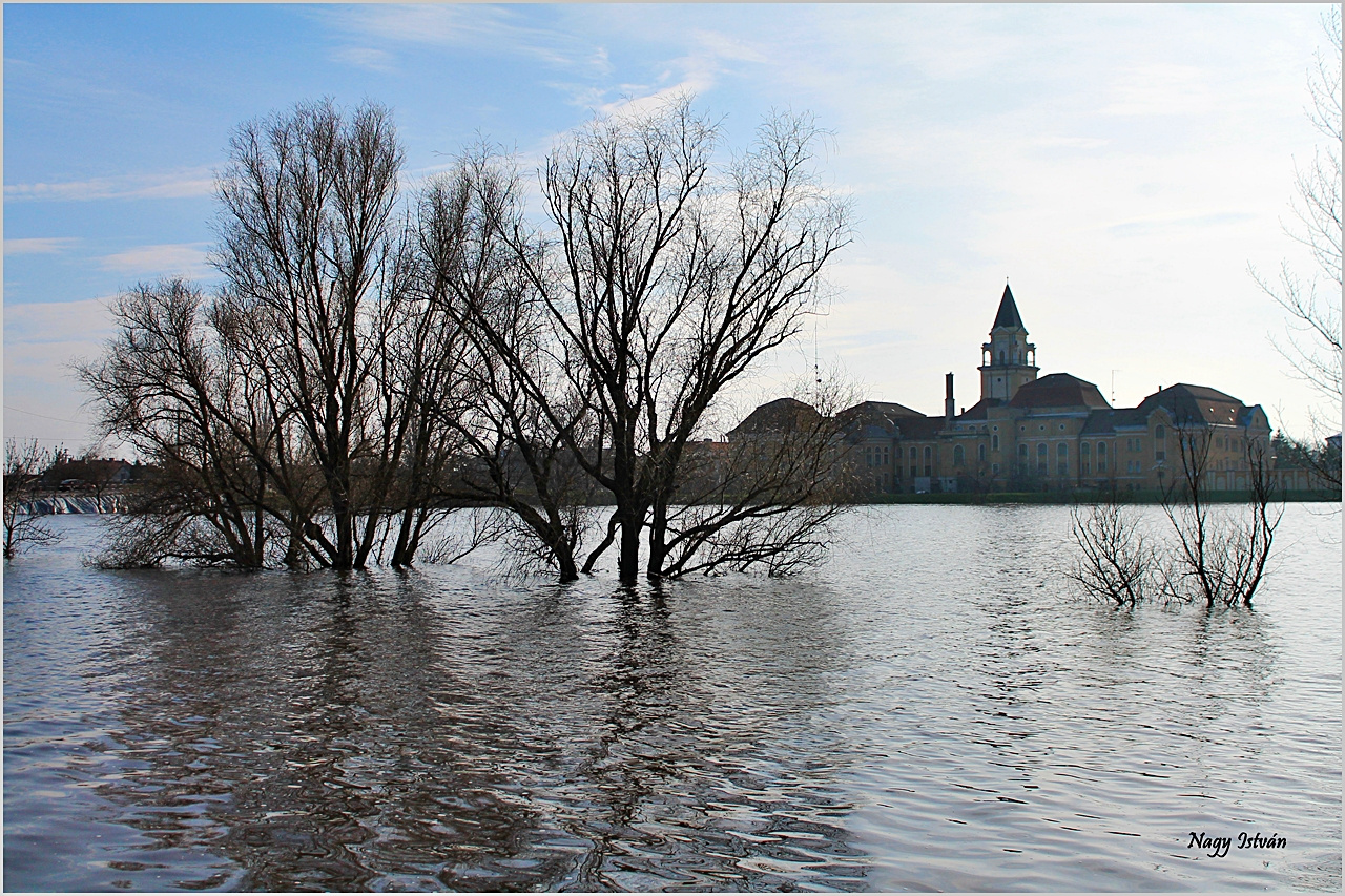 Árvíz 2013 - Hortobágy-Berettyó 053