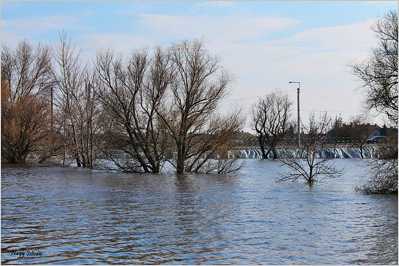 Árvíz 2013 - Hortobágy-Berettyó 051