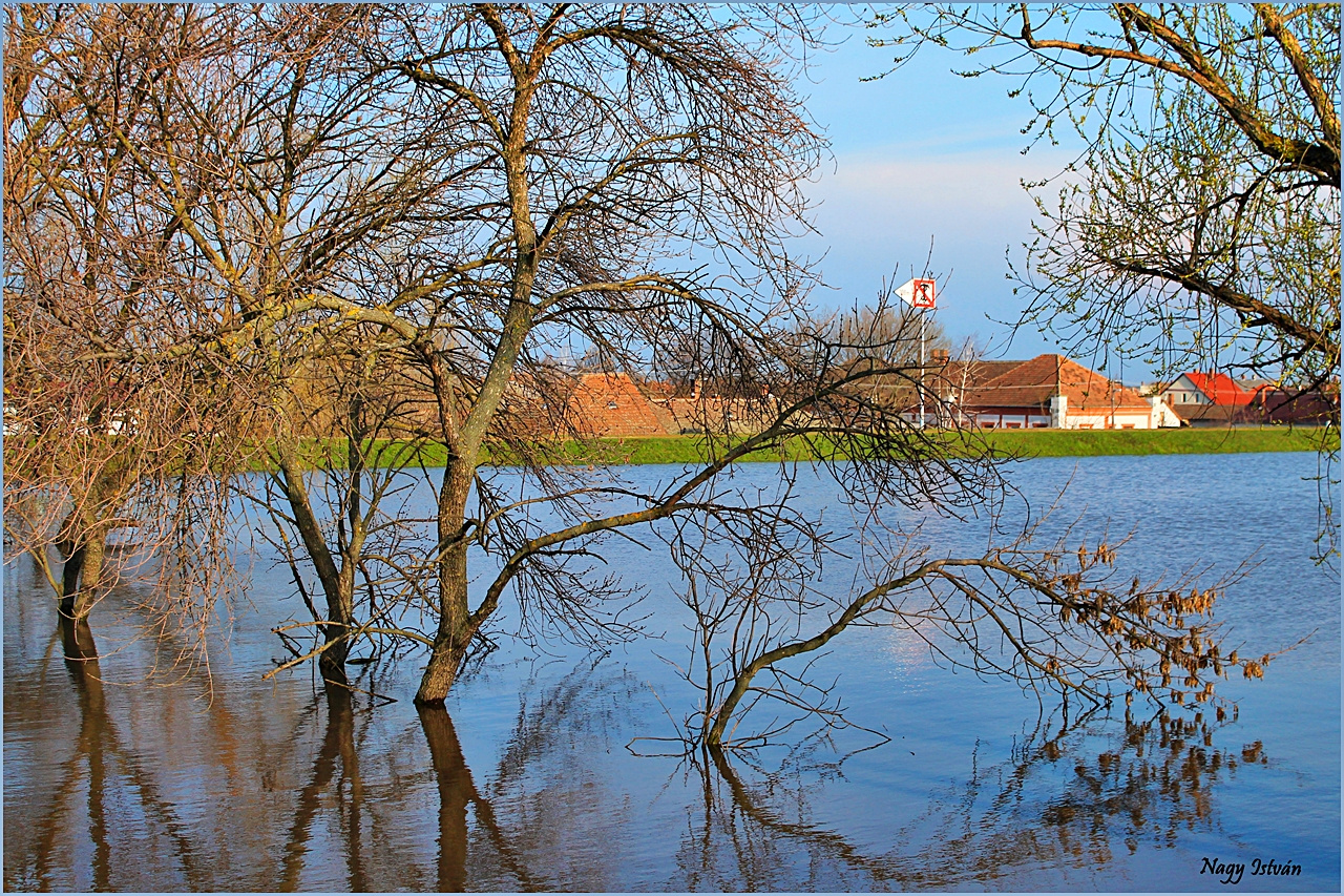 Árvíz 2013 - Hortobágy-Berettyó 075