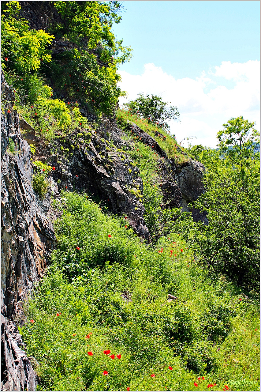 Ajnácskő 2013 064