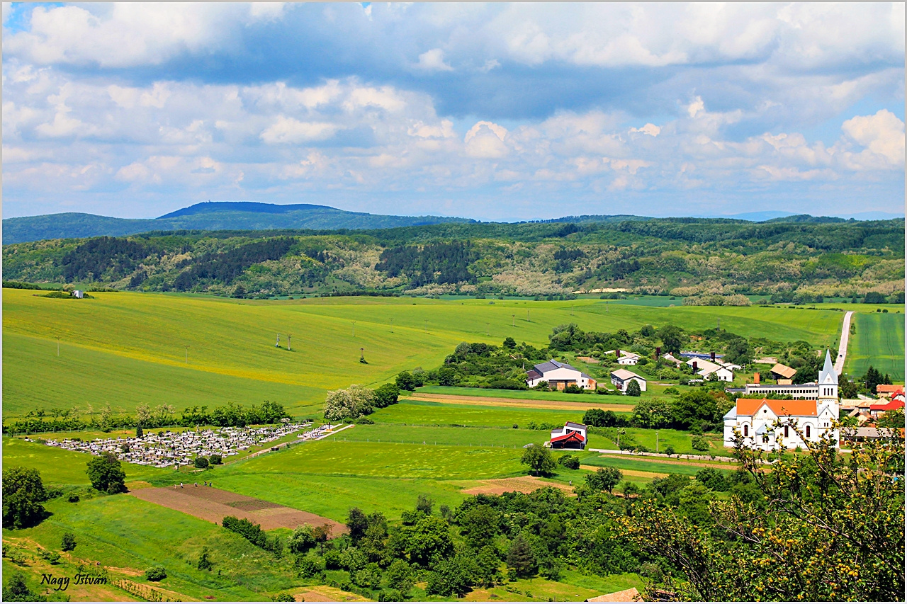 Sőreg 2013 024