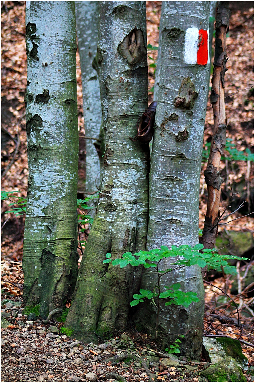 Székelykő túra 2013 205