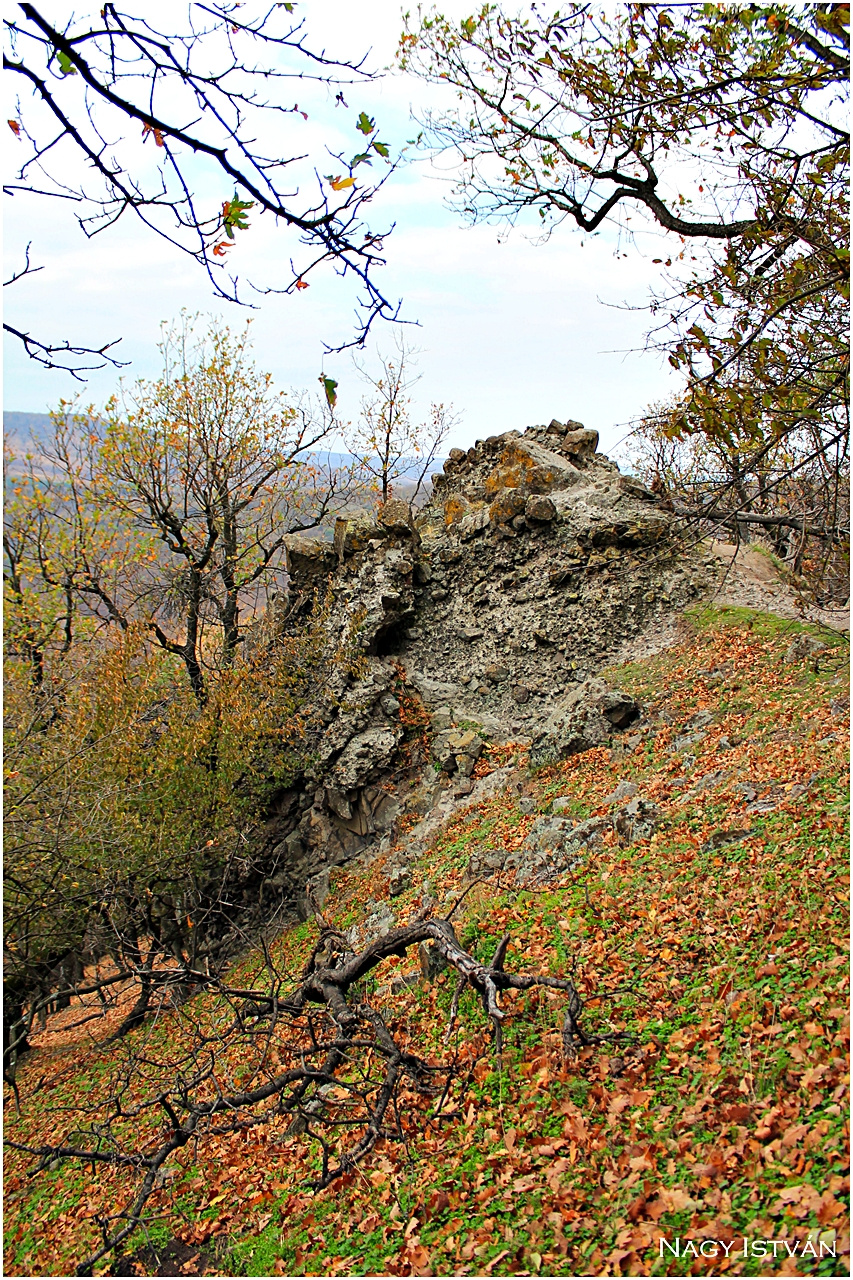 Vadálló-kövek túra 2013 069