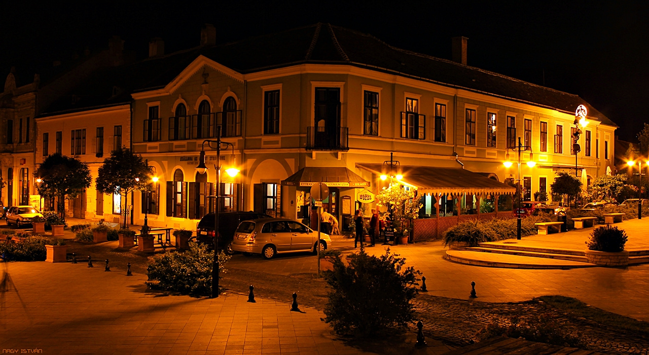 Arany Strucc Hotel és Étterem - Kőszeg 2014