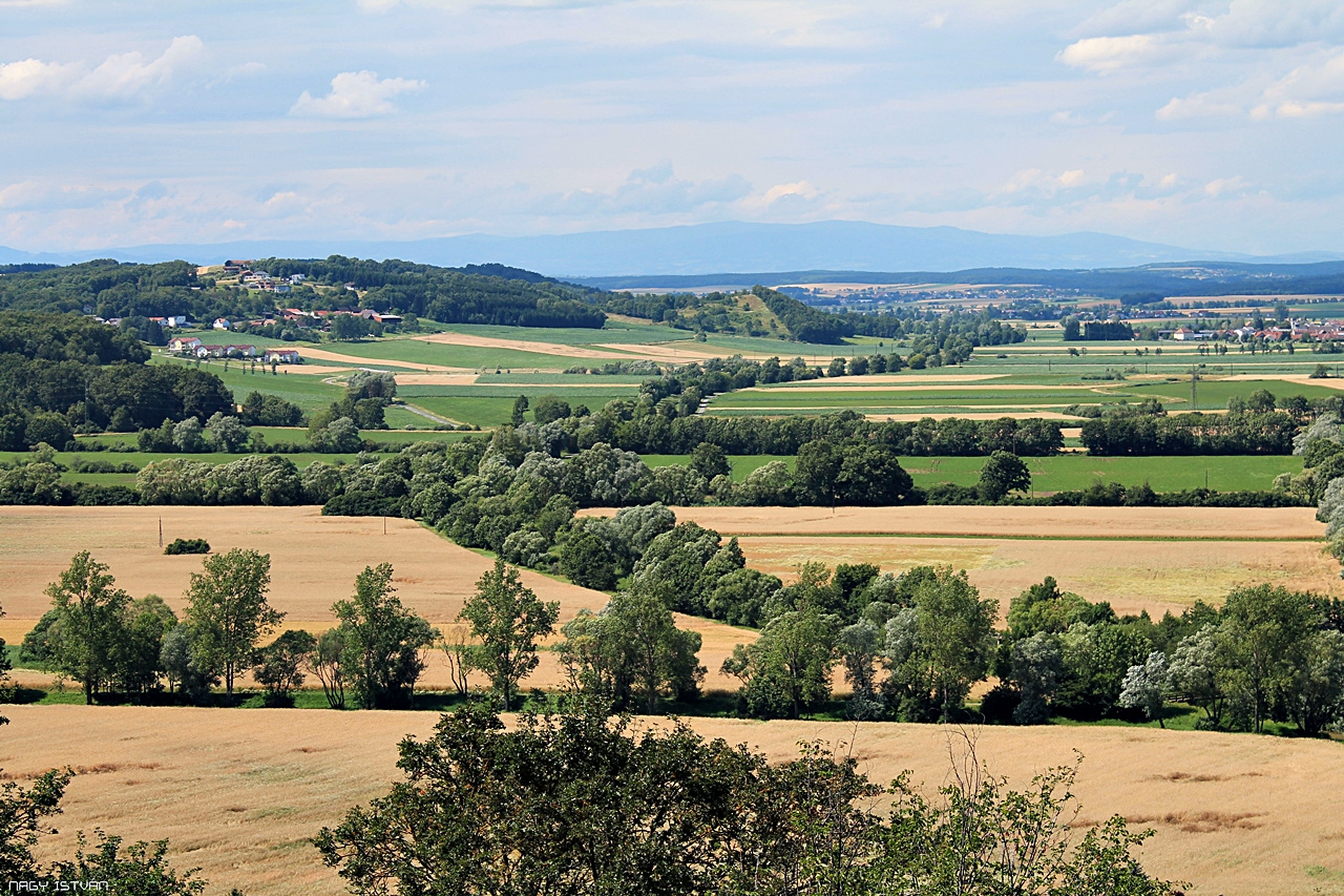 Németújvár 2014 024