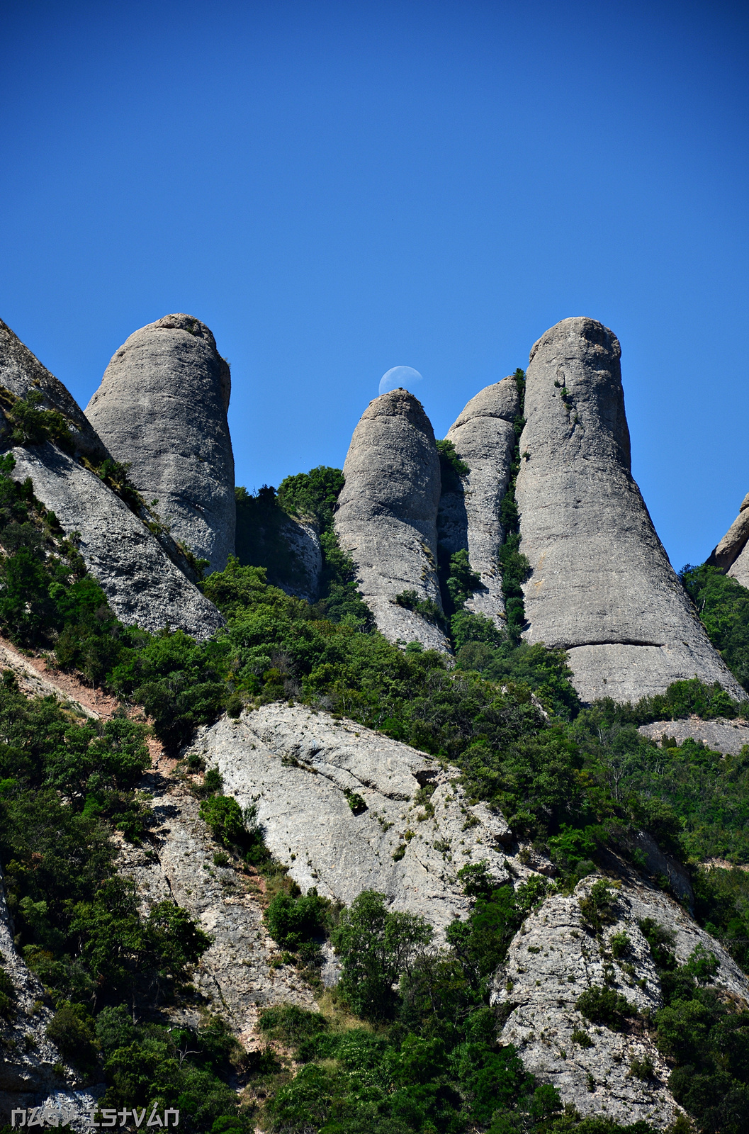 Montserrat 0020