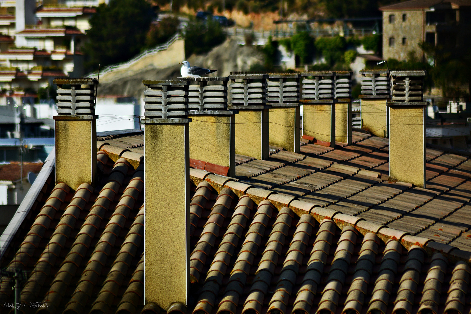 Tossa de Mar 1085