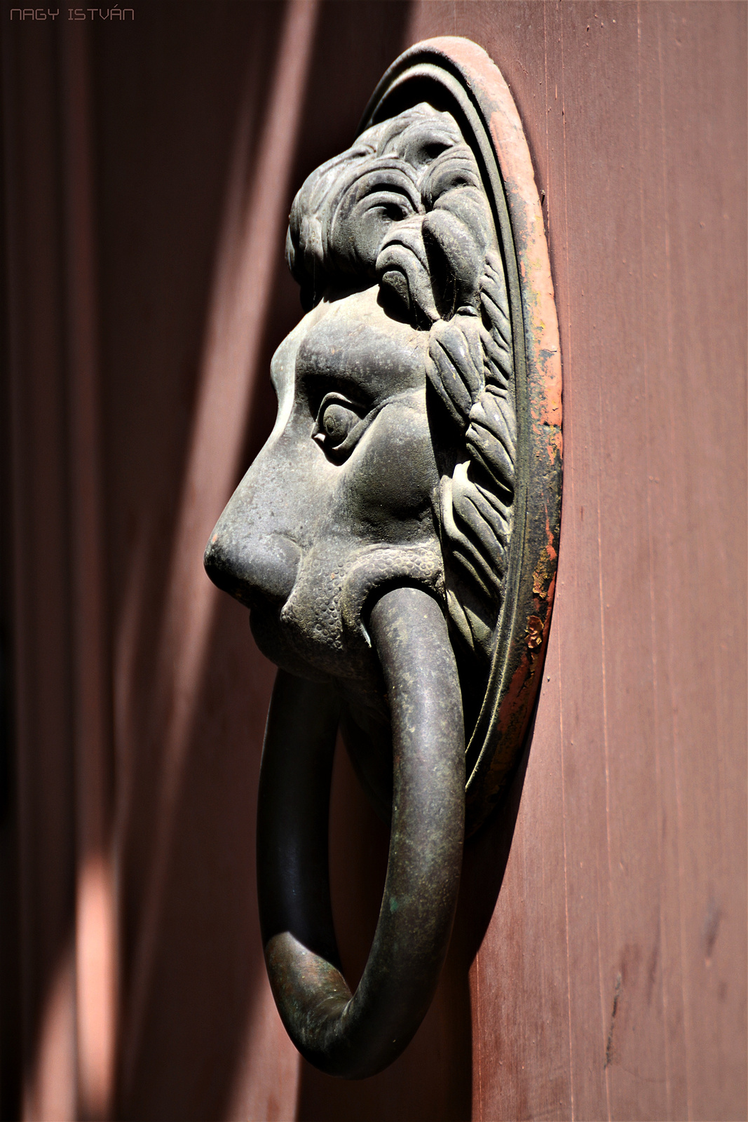 Door Knocker 0119