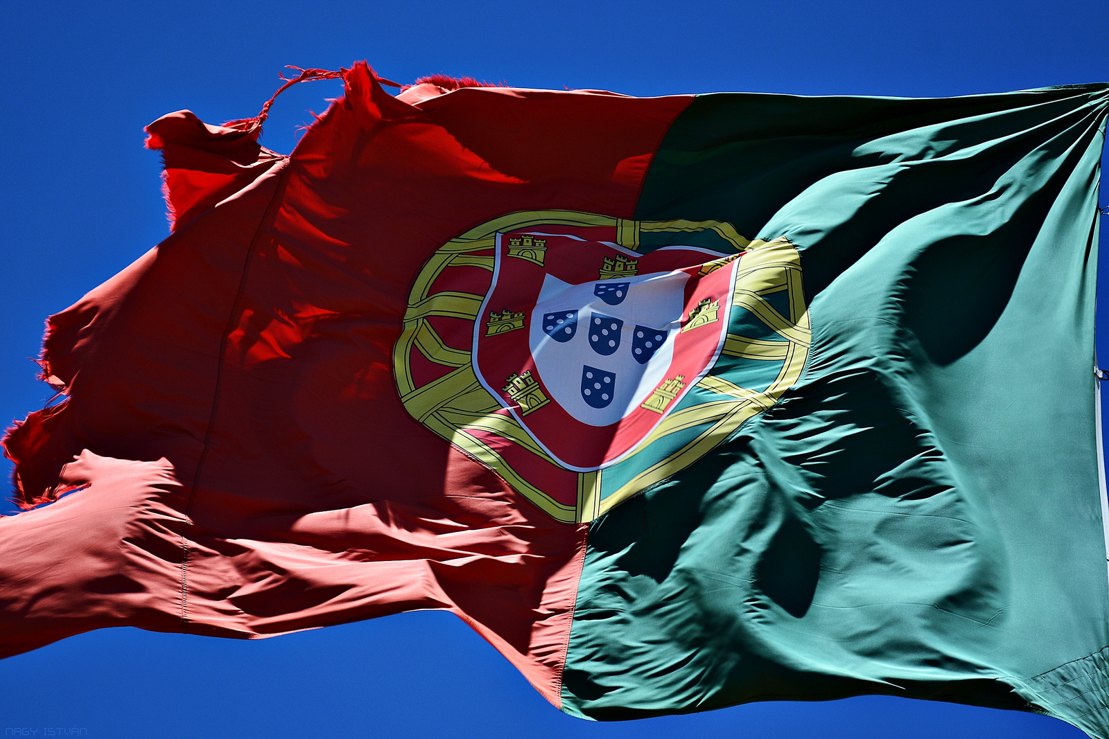 Portugal flag 2644