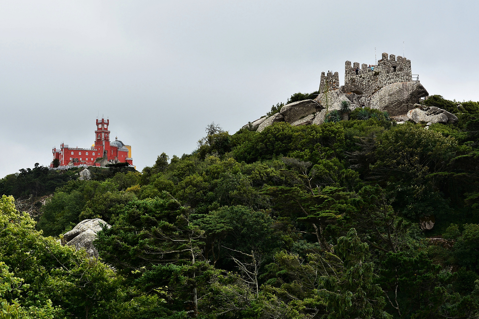 Sintra - Castle of the Moors and Pena Palace1625