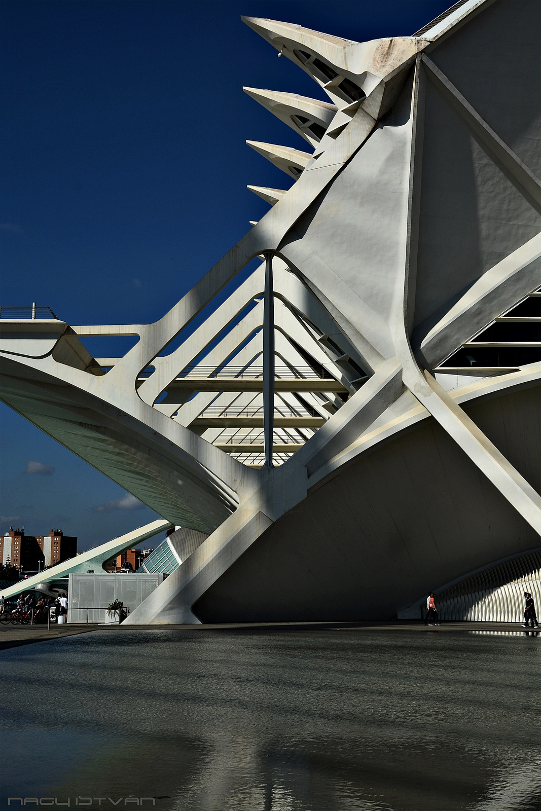 Valencia 0836 (2)