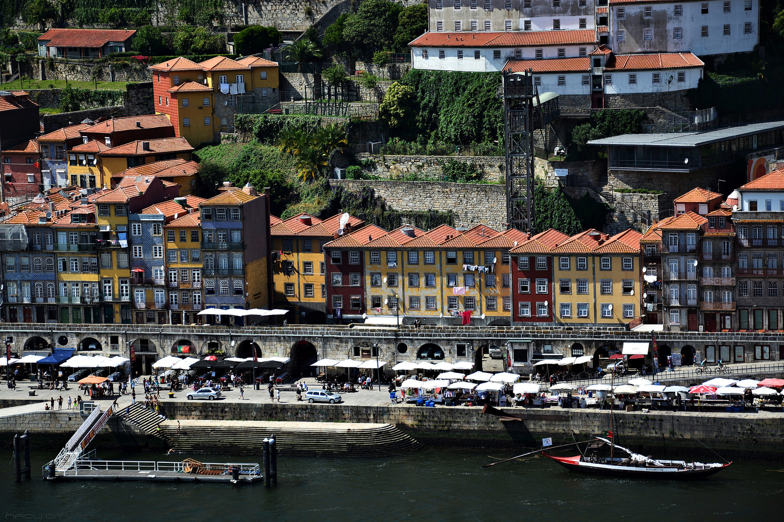 Porto 2018 0964 (2)