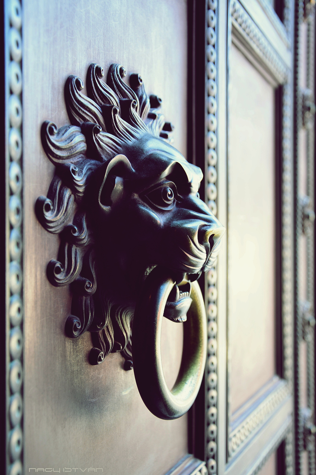 Lion Door Knocker