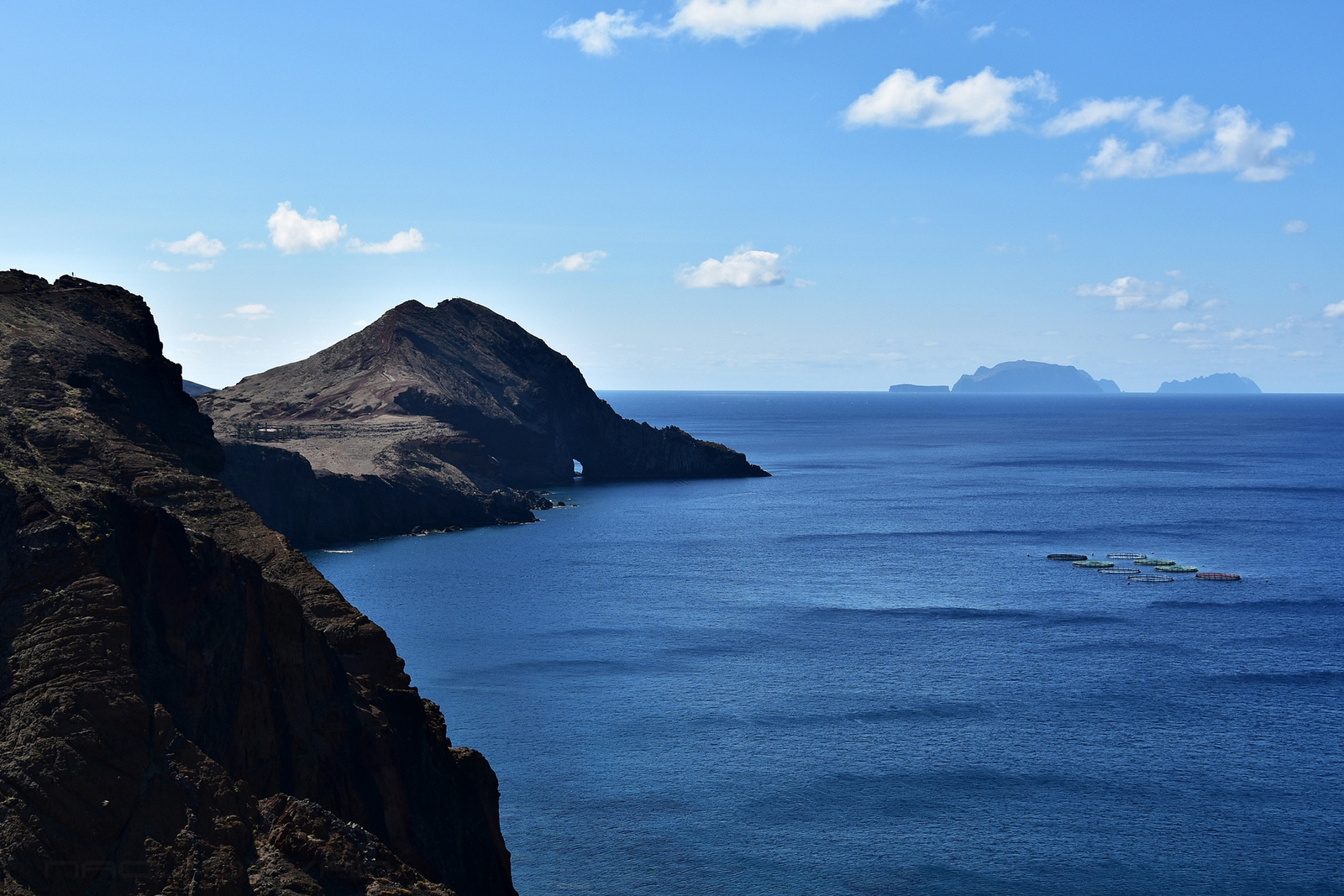 Madeira 2023 1403 00001