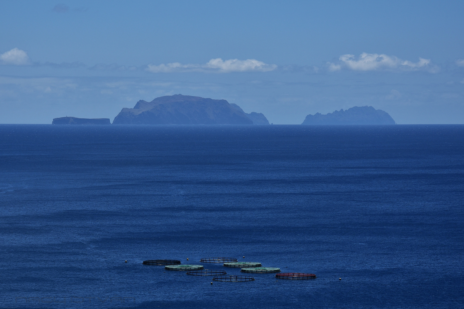 Madeira 2023 1977 00001