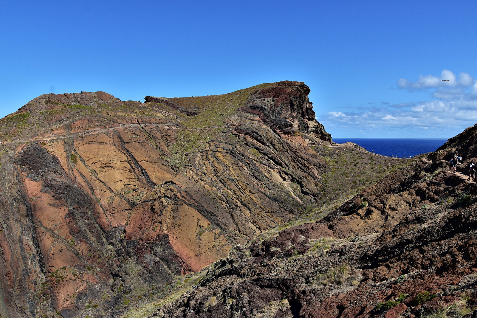 Madeira 2023 1530 00001