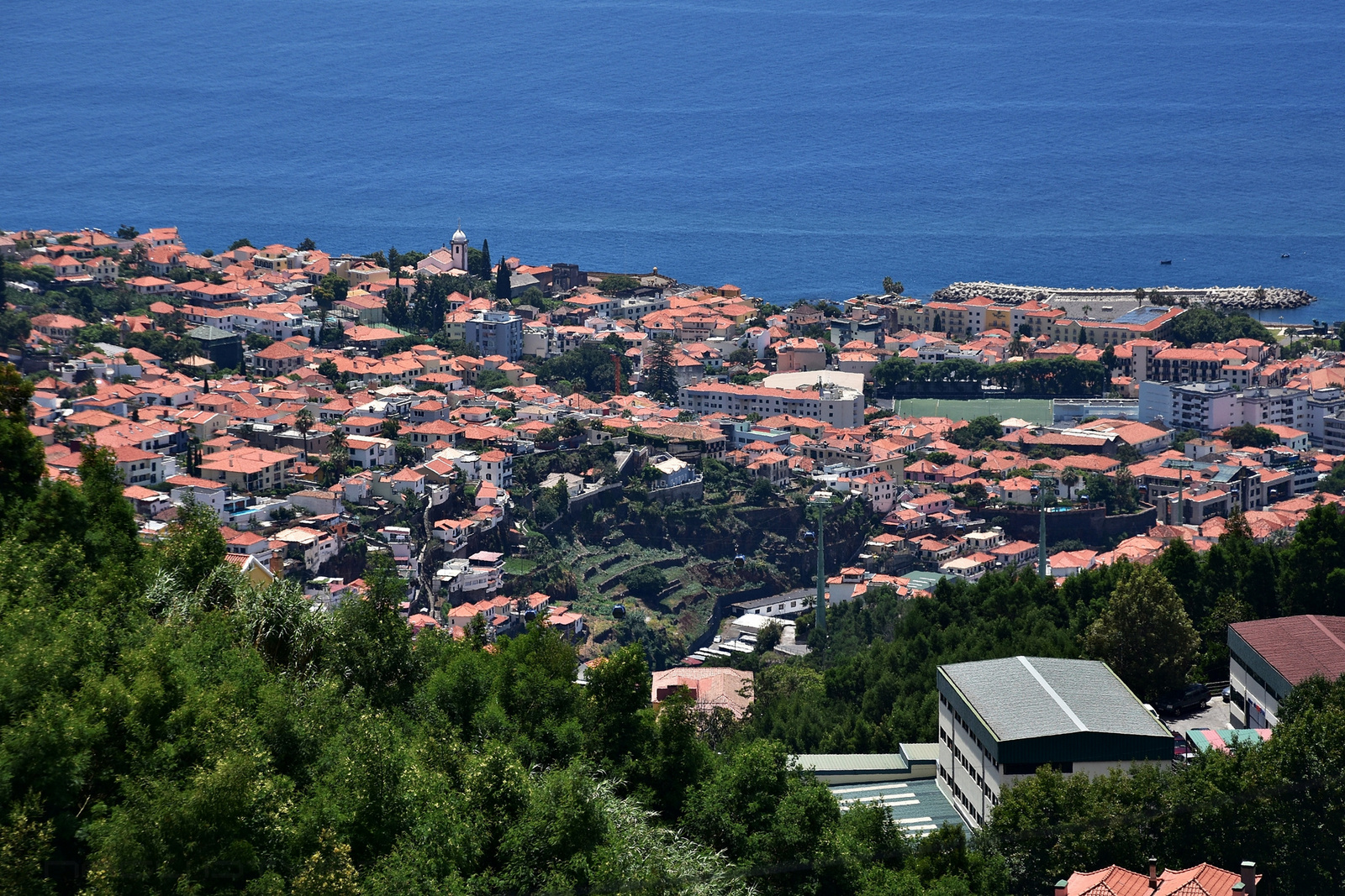 Madeira 2023 3213 00001