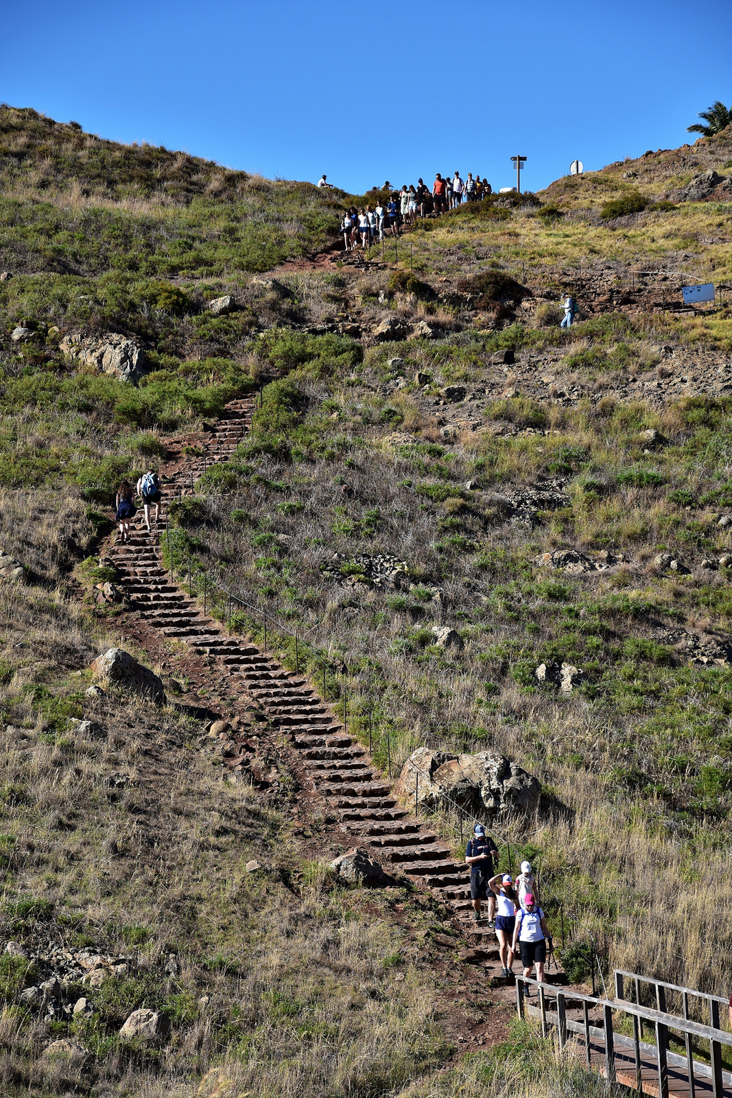 Madeira 2023 1259 00001