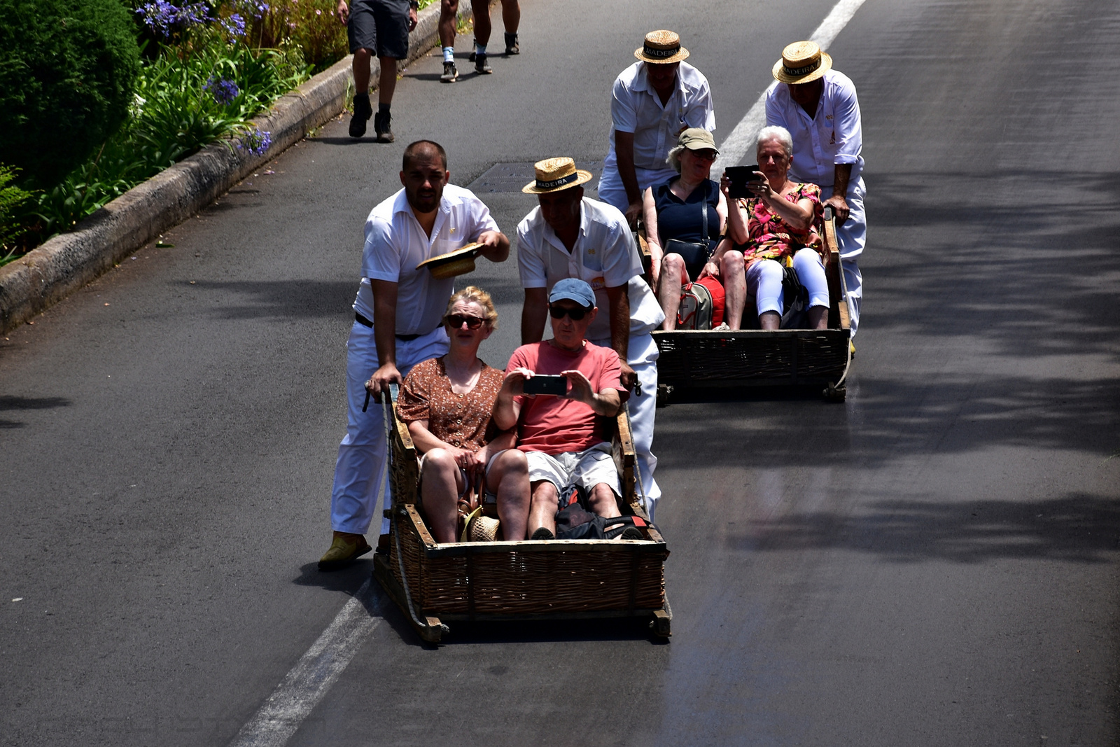 Madeira 2023 3251 00001