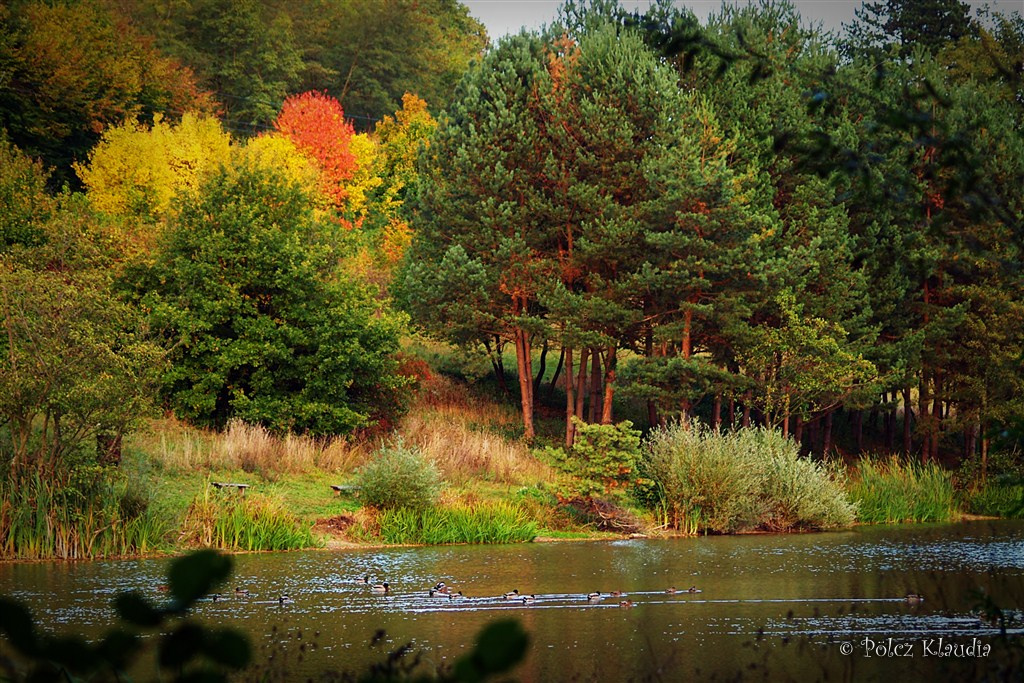 2011.10.14. a tónál (6)