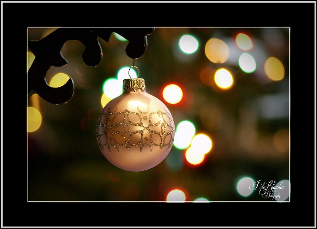 2011.12.28. karácsony után (11)