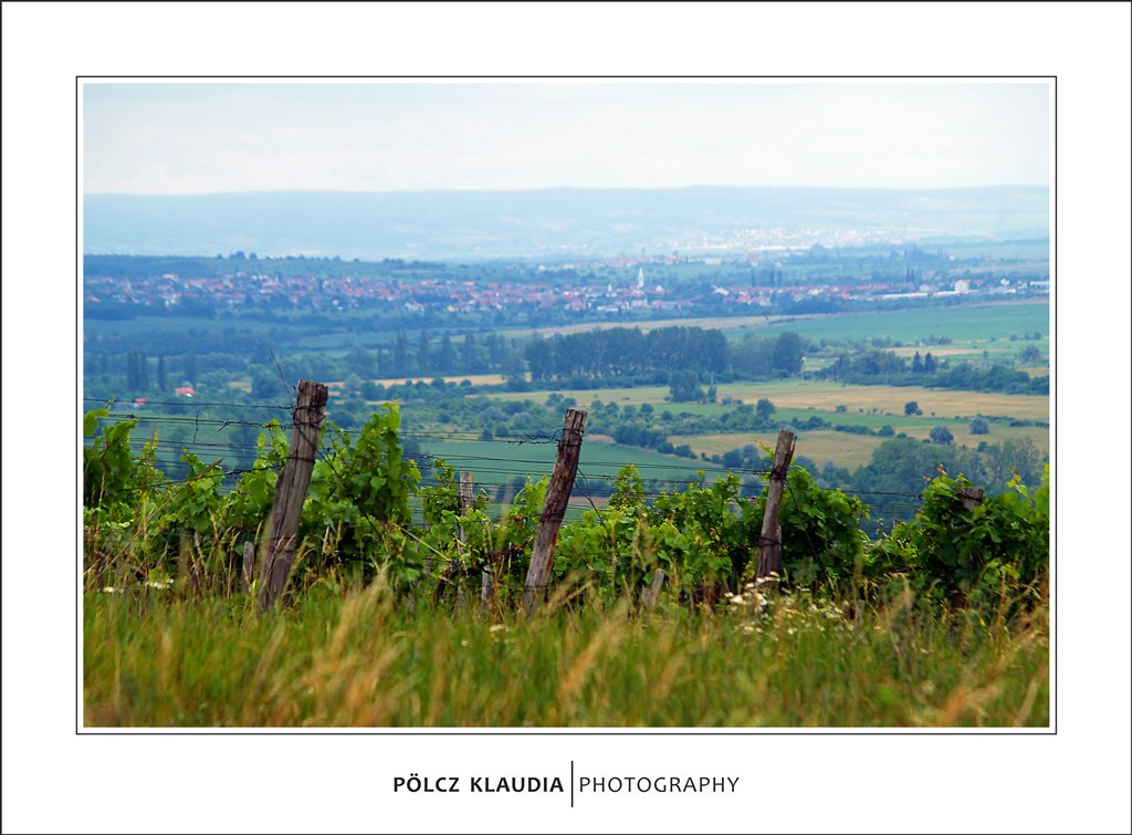 Fertőrákos a távolban