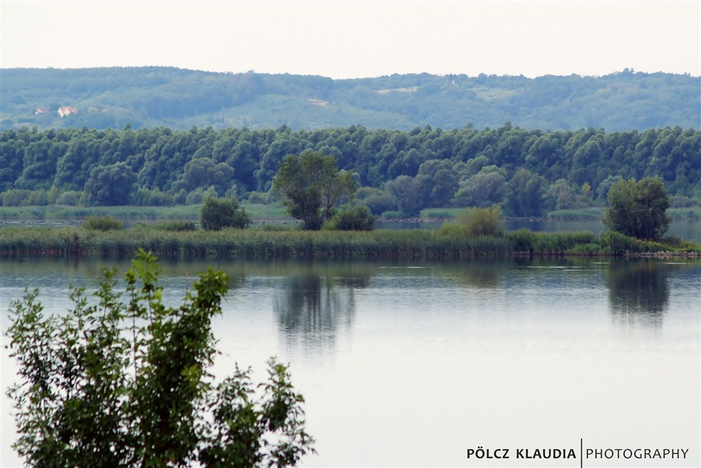 Kis-Balaton - Kányavári-sziget