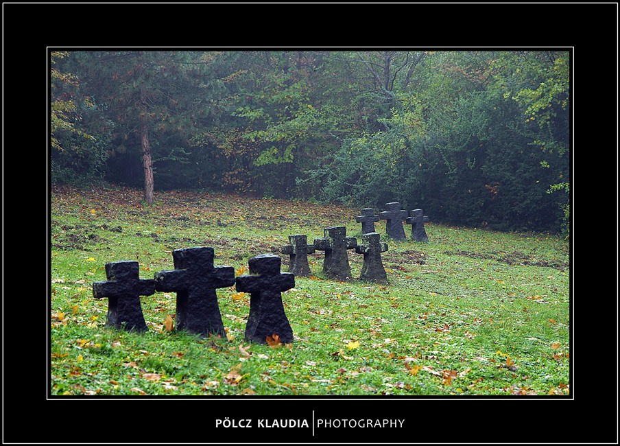 2012.11.02. Hősi temetőben (3)