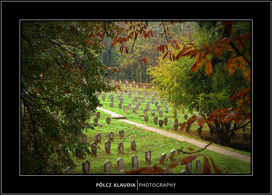 2012.11.02. Hősi temetőben (10)